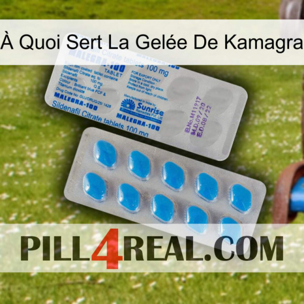 À Quoi Sert La Gelée De Kamagra new15.jpg